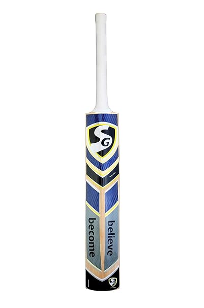 Kashmir Willow Cricket Bat