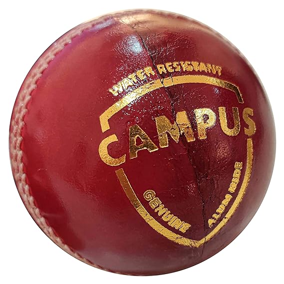 leather cricket ball